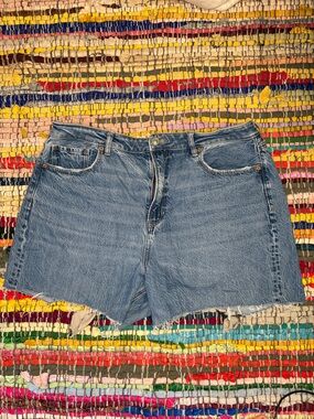 American Eagle Outfitters Light Blue Denim Cut Offs